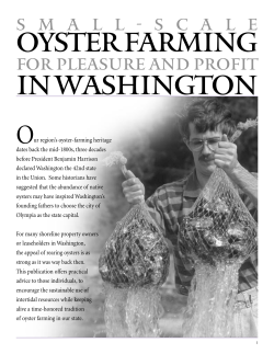 Small-Scale Oyster Farming - Washington Sea Grant