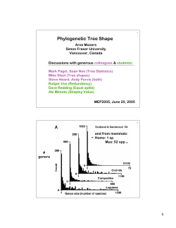 Phylogenetic Tree Shape