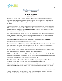 At Home in the Cold - Digital Chalkboard