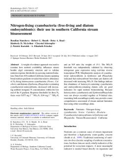 Nitrogen-fixing cyanobacteria (free-living and diatom endosymbionts
