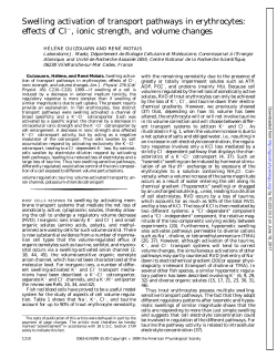 Swelling activation of transport pathways in erythrocytes - AJP-Cell