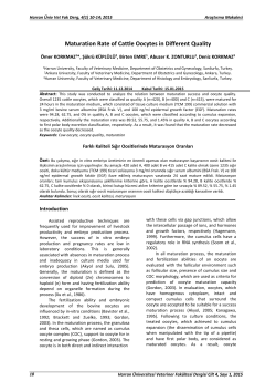 Maturation Rate of Cattle Oocytes in Different Quality