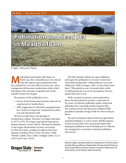 Pollination and Seed Set in Meadowfoam