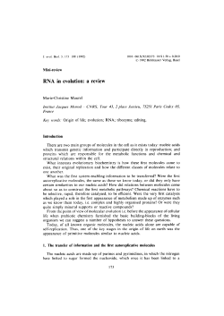 RNA in evolution: a review