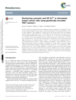 Monitoring cytosolic and ER Zn2+ in stimulated