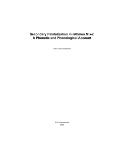 Secondary palatalization in Isthmus Mixe