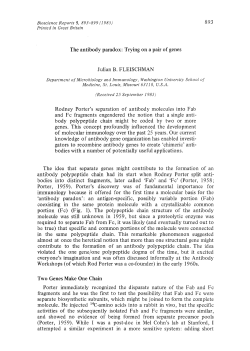 The antibody paradox: Trying on a pair of genes