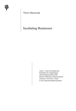 Incubating Businesses