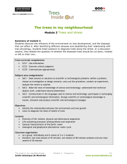 Module 3 - Au Coeur de l`arbre