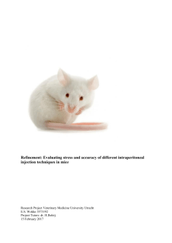 Refinement: Evaluating stress and accuracy of different