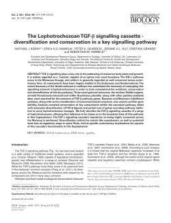 The Lophotrochozoan TGF-&beta; signalling cassette