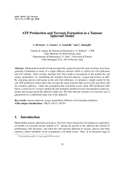 ATP Production and Necrosis Formation in a Tumour Spheroid Model