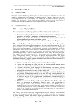 - Ok Tedi Mining Limited