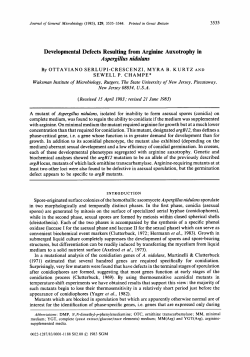Developmental Defects Resulting from Arginine