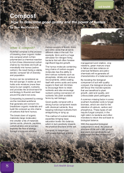 Compost - Sam Maconochie