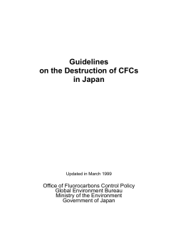 Guidelines on the Destruction of CFCs in Japan (March 1999)