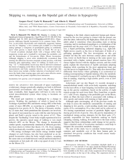 Full PDF - American Journal of Physiology