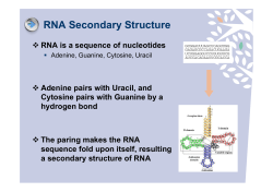 here - KAIST NLP*CL Lab.