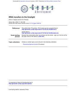 tRNA transfers to the limelight