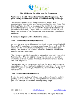 The 10 Minute Core Workout for Pregnancy 604