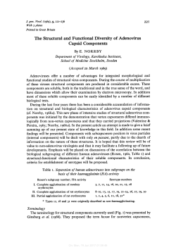 The Structural and Functional Diversity of Adenovirus Capsid