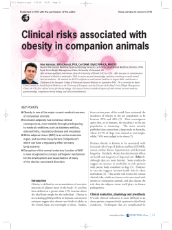 Clinical risks associated with obesity in companion animals