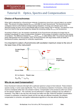 compensation Tutorial