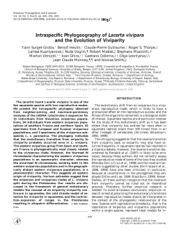 Intraspecific Phylogeography of Lacerta vivipara and