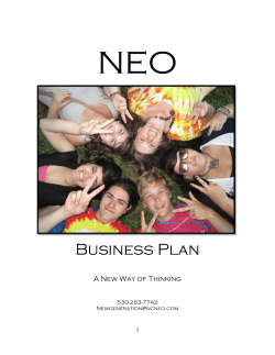 NEO Business Plan