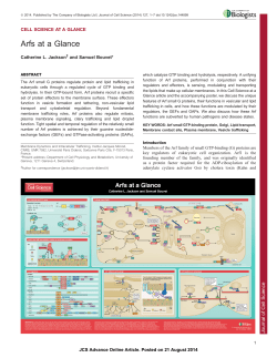 Arfs at a Glance - Journal of Cell Science