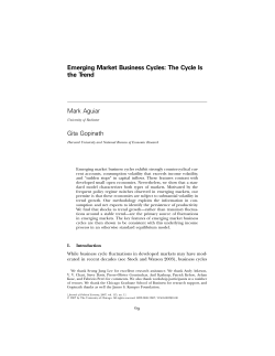 Emerging Market Business Cycles