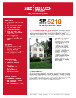 SR-5210E Creeping Fescue