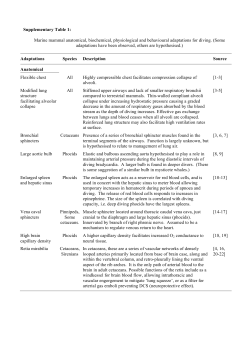 Supplementary Table 1: Marine mammal anatomical, biochemical