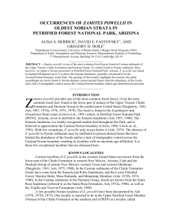 occurrences of zamites powellii in oldest norian strata in