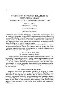 studies on nitrogen fixation by blue-green algae