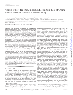 Control of Foot Trajectory in Human Locomotion: Role of Ground