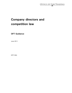 Company directors and competition law