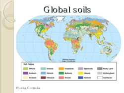 Global soils