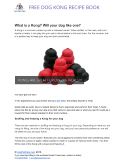 FREE DOG KONG RECIPE BOOK