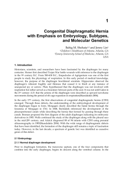 Congenital Diaphragmatic Hernia with Emphasis on