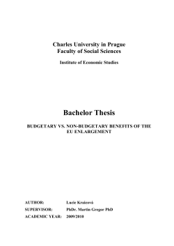 BAKALARKA_Lucie Kraicova_Budgetary vs. Non