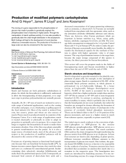 Production of modified polymeric carbohydrates Arnd G Heyer