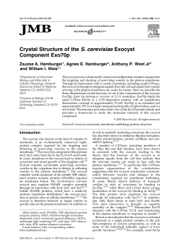 Crystal Structure of the S. cerevisiae Exocyst Component Exo70p