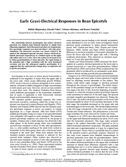 Early Gravi-Electrical Responses in Bean Epicotyls