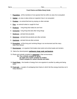 food chain study guide