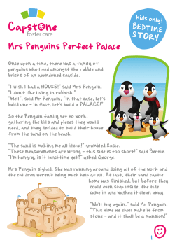 Mrs Penguins Perfect Palace