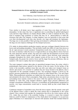 Stomatal behavior of trees and their gas exchange can be derived