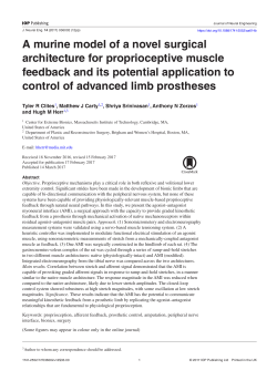 A murine model of a novel surgical architecture for proprioceptive
