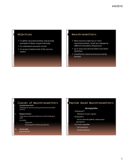 Lecture 4 - Neurotransmitters
