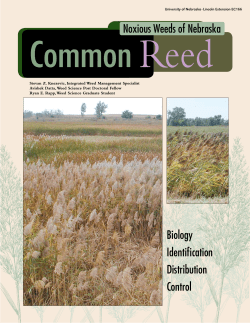 Noxious Weeds of Nebraska - Nebraska Weed Control Association